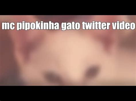 vdeo da mc pipokinha com os gatos|Delegado pede prisão de MC Pipokinha após vídeos。